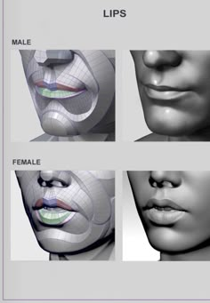 four different views of the face and mouth in various angles, with text that reads lips male female