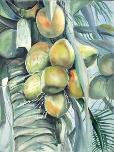 a painting of some fruit hanging from a palm tree with green leaves and blue sky in the background