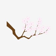 a branch with pink flowers on it against a white background