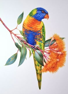 a colorful bird sitting on top of a tree branch next to orange flowers and green leaves