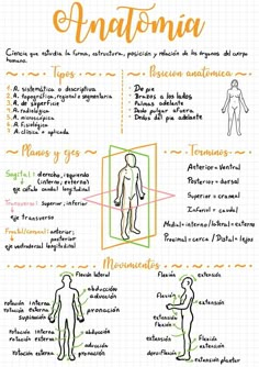 the anatomy of an anatomia in spanish and english, with instructions on how to use