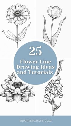 25 flower line drawing ideas and tutors