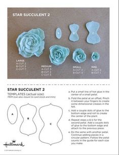 the instructions for how to make star succulents are shown in this page