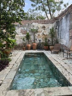 an outdoor swimming pool surrounded by potted plants