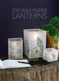 some paper lanterns sitting on top of a wooden table next to a potted plant