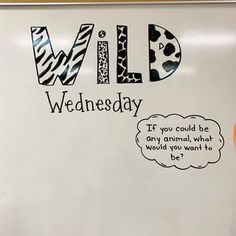 a white board with writing on it that says wild wednesday, if you could be any animal what would you want to be?