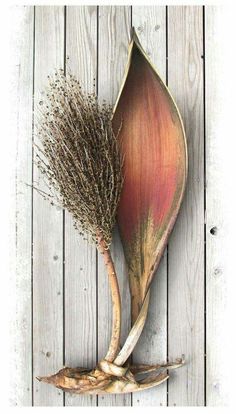 a large flower is hanging on the side of a wooden wall with dried grass in it