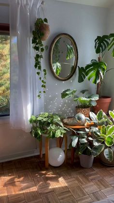 some plants are sitting on a table in front of a window and a round mirror