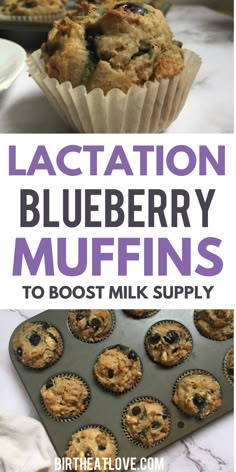 The best blueberry lactation muffins for breastfeeding milk supply. These lactation muffins are gluten free, dairy free, and way lower in sugar than most lactation recipes you'll find. These healthy blueberry muffins help milk supply and make a great snack or breakfast while nursing. Dairy Free Lactation Recipes, Lactation Muffins, Healthy Lactation Cookies, Lactation Recipes Smoothie, Lactation Cookies Recipe, Healthy Blueberry Muffins