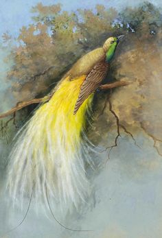 a painting of a bird sitting on a tree branch with its tail feathers spread out