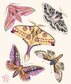 four different colored butterflies flying in the air with their wings spread out and one butterfly has its eyes open