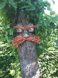 a tree with a face made out of branches