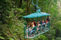 people riding on a zip line in the jungle