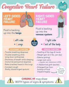 Pathophysiology Nursing, Nursing Labs, Nerdy Nurse, Nursing School Inspiration, Nursing Study Guide, Nurse Training, Basic Anatomy And Physiology