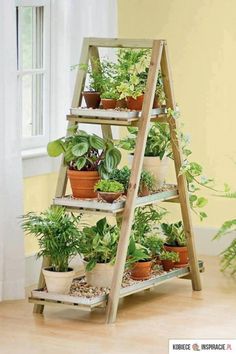 a wooden plant stand filled with potted plants