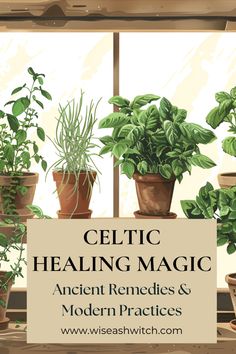 Discover the timeless wisdom of Celtic healing magic! 🌿 Dive into ancient remedies, herbal medicine, sacred rituals, and elemental balance, all rooted in the traditions of the Celts. Learn how to incorporate these practices into your modern life for holistic well-being and spiritual harmony. ✨ Explore the power of nature and revive ancient magic in your daily rituals! #CelticMagic #HerbalRemedies #HolisticHealing #ElementalBalance #NaturalHealing #SpiritualWellness #Witchcraft #HealingMagic #AncientWisdom Celtic Witchcraft, Celtic Magic, Celtic Deities, Ancient Remedies, Celtic Runes, Modern Witchcraft, Ancient Magic, Celtic Festival, Herbal Magic For Wiccans