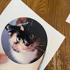 a person holding up a photo with a cat on it's face in front of a wooden table