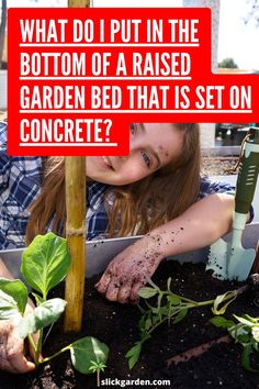 "Maximize your concrete space with a raised garden bed! Dive into the world of base materials, from gravel to landscape fabric, ensuring your garden's success. 🌺 #UrbanOasis #GardenOnConcrete" Raised Garden Bed Soil, Root Growth, Landscape Fabric, Raised Bed, Vegetable Gardening, Garden Bed