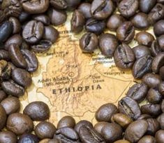 coffee beans laid out on top of a map