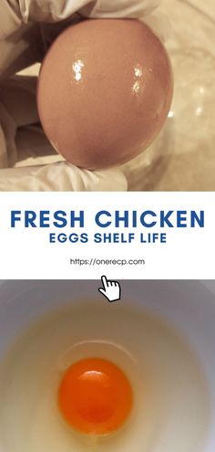 Fresh Chicken Eggs Shelf Life Farm Fresh