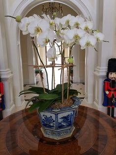 there is a potted plant with white flowers on the table in front of a nutcracker