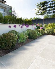 a white fence with purple flowers in the middle and bushes on both sides, along side it