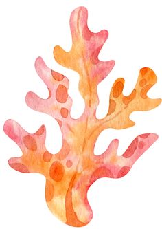 a watercolor drawing of a coral on a white background with orange and pink colors