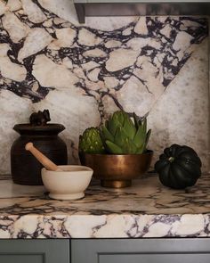 an assortment of kitchen items on a marble countertop in front of a potted plant