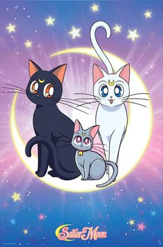 an image of three cats sitting on the moon