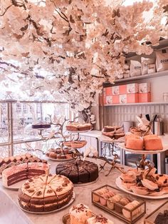 many different types of cakes and pastries are on display in a bakery shop with cherry blossoms hanging from the ceiling