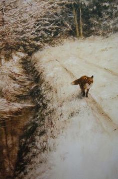 a cat walking across a snow covered road