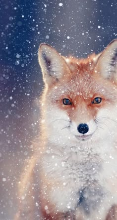 a close up of a fox in the snow