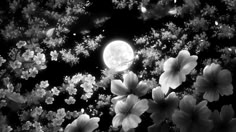 purple flowers with the moon in the background