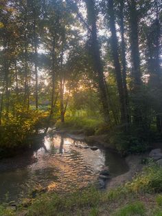 the sun shines brightly through the trees and water in this small stream that runs through a wooded area