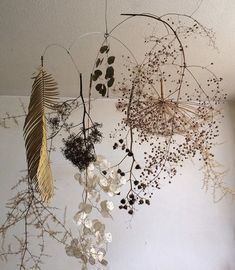 dried plants and leaves hanging from the ceiling in a room with white walls, including one plant