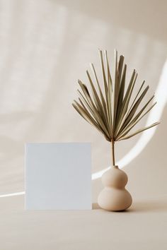 a small plant in a white vase next to a blank card on a table top