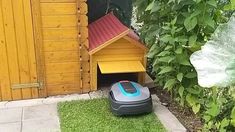 a robotic lawn mower in front of a dog house