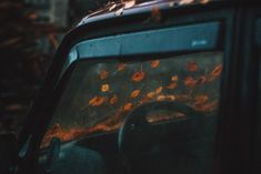 the back window of a car with leaves on it