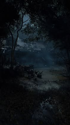 the dark forest is lit up by lanterns and trees in the distance, with fog coming from