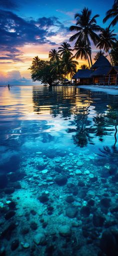 the water is very clear and blue in this tropical island scene at sunset with palm trees