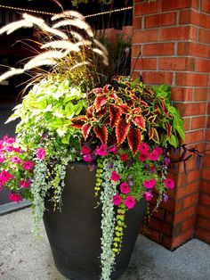 a large planter filled with lots of colorful flowers