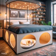 a bed with a dog in it and lights on the headboard, above which sits a couch