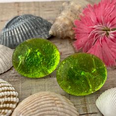 three green glass buttons sitting on top of a wooden table next to seashells