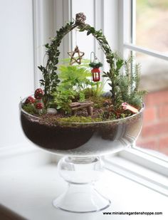 a glass bowl filled with plants on top of a window sill next to a window