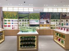 the inside of a store filled with lots of shelves and plants in pots on display