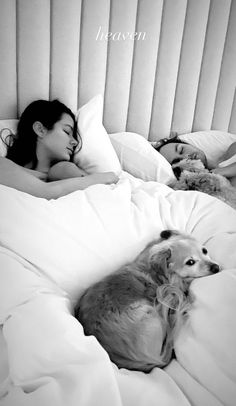 a woman laying in bed next to a dog