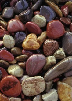 Water Erosion, Visuell Identitet, Glacier National Park Montana, Maximalism, Glacier National, Glacier National Park, Salmon Recipes, Stone Rocks