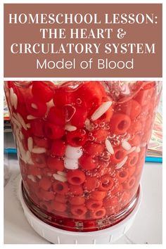 the heart and circulatorary system model of blood is shown in this image