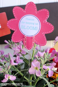 there is a pink flower that says thanks for helping us bloom in front of purple flowers