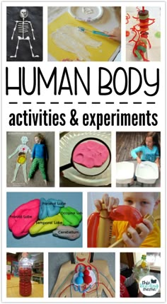 Human Body Homeschool, Human Body Study, Human Body Projects, Human Body Science